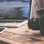 Best Wildlife Photography Facts for Curious Readers