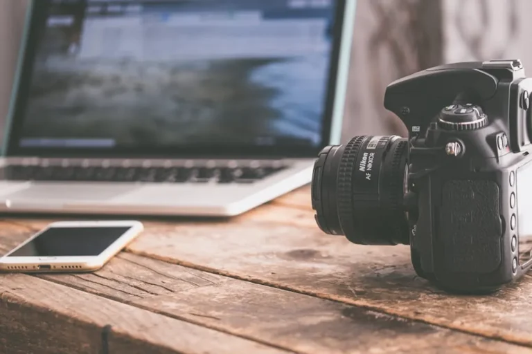 Best Wildlife Photography Facts for Curious Readers