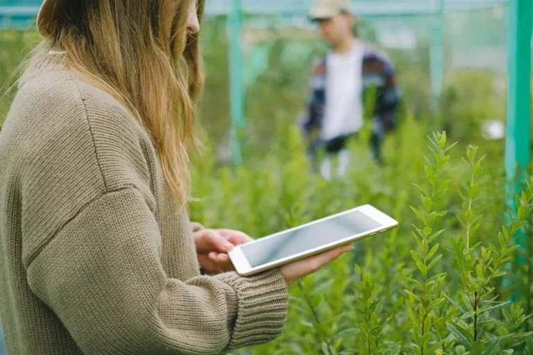 Eco Tourism: Beginner Guide